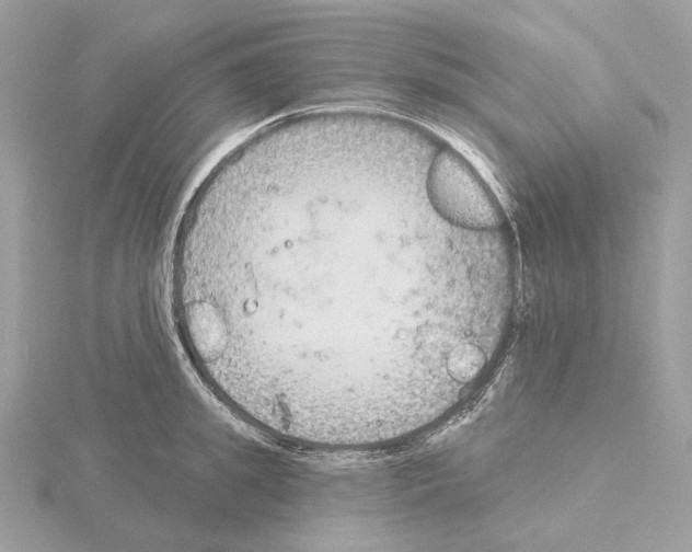 X0000115050949200912071127