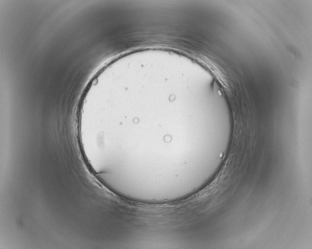 X0000115050950200912071127