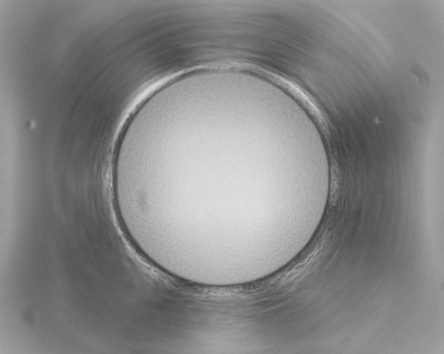 X0000115050951200912071127