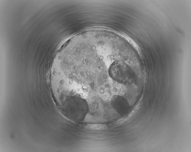 X0000115050953200912071127