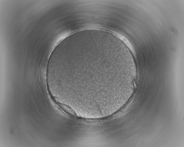 X0000115050954200912071127