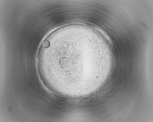 X0000115050955200912071127