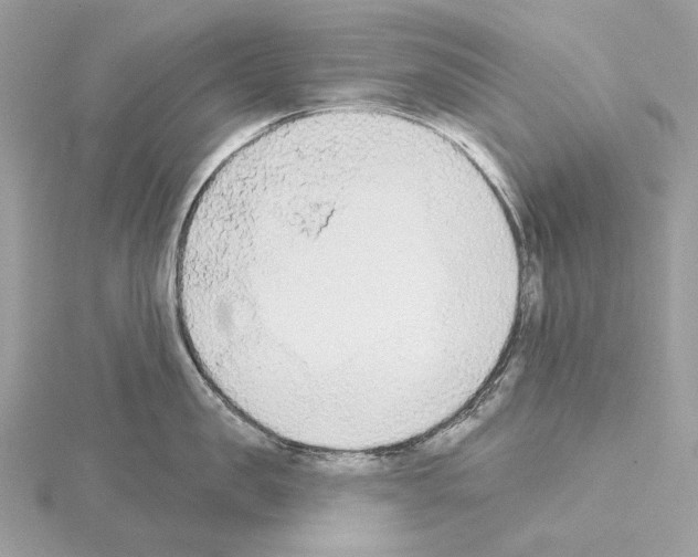 X0000115050957200912071127