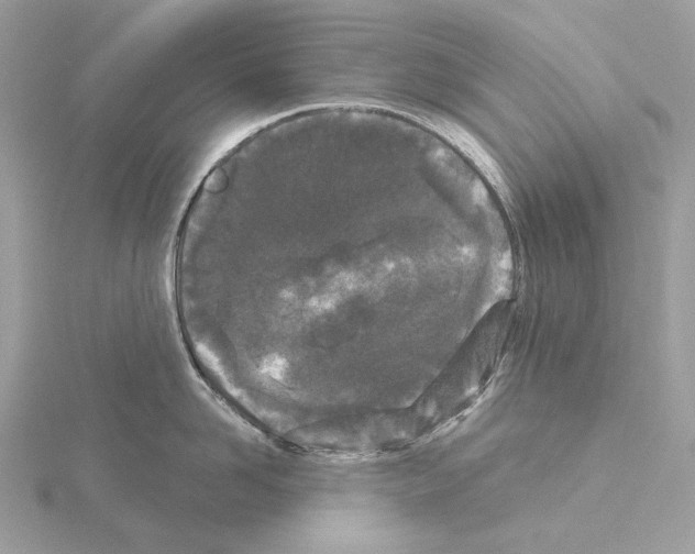 X0000115050958200912071127