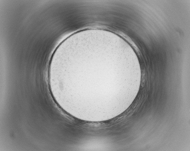 X0000115050959200912071127