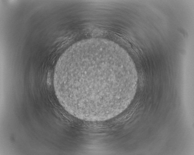 X0000115050962200912071127