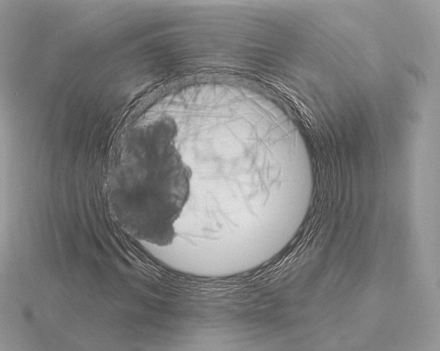 X0000115050964200912071127