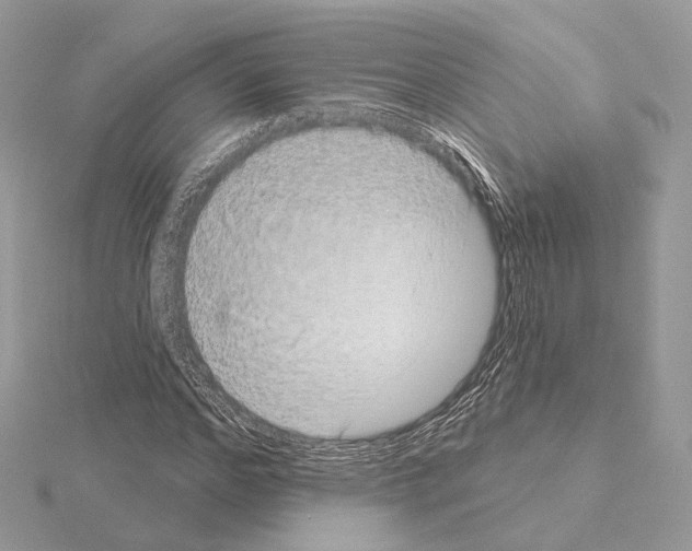 X0000115050968200912071126