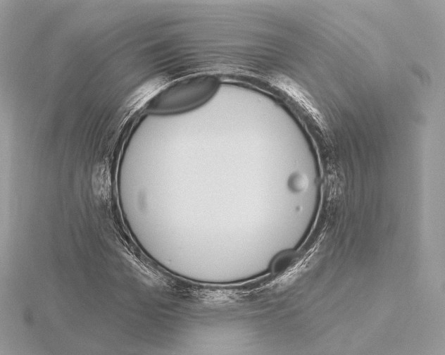 X0000115050969200912071126