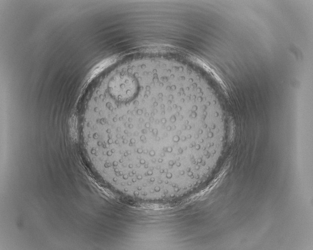 X0000115050970200912071126