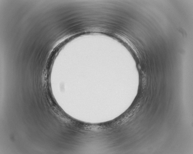 X0000115050971200912071126