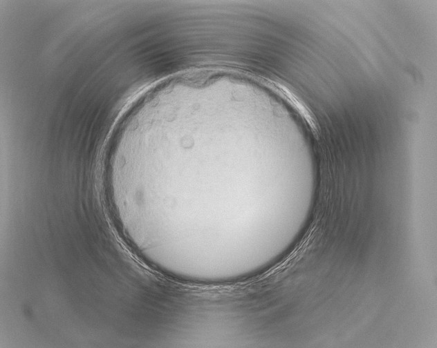 X0000115050972200912071126