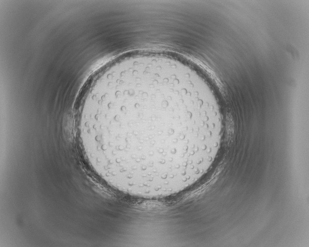 X0000115050974200912071126