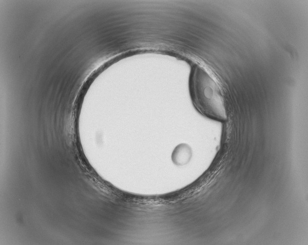 X0000115050975200912071126