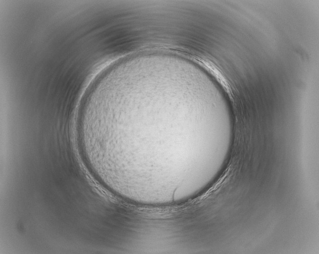 X0000115050976200912071126