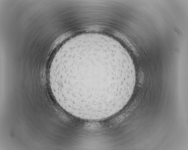 X0000115050978200912071126