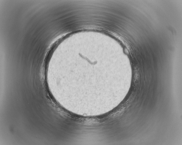 X0000115050979200912071126