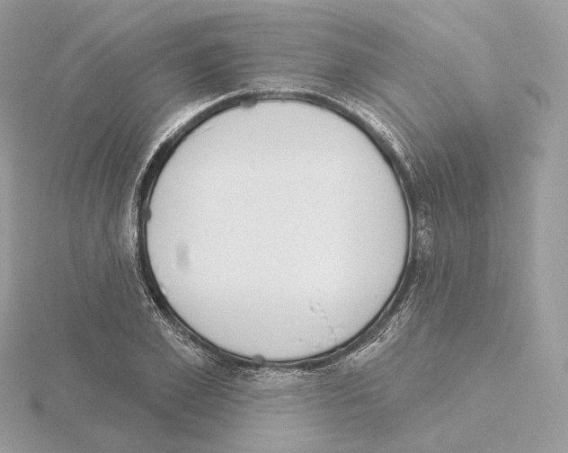 X0000115050981200912071126