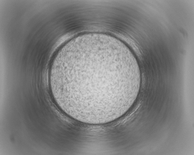 X0000115050982200912071126