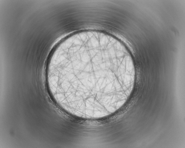 X0000115050983200912071126