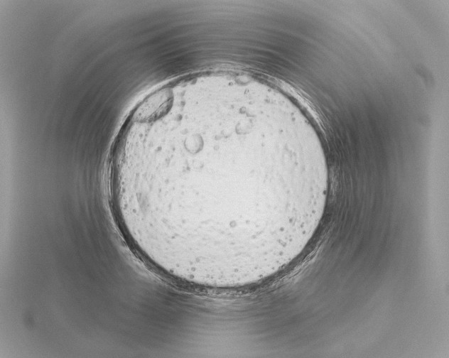 X0000115050987200912071126