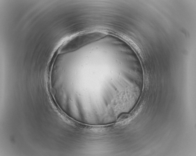 X0000115050989200912071126