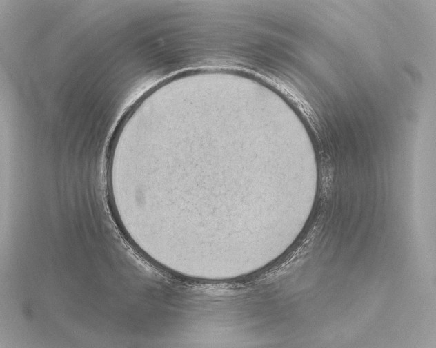 X0000115050990200912071126