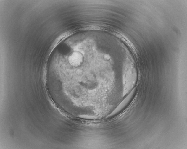 X0000115050994200912071126