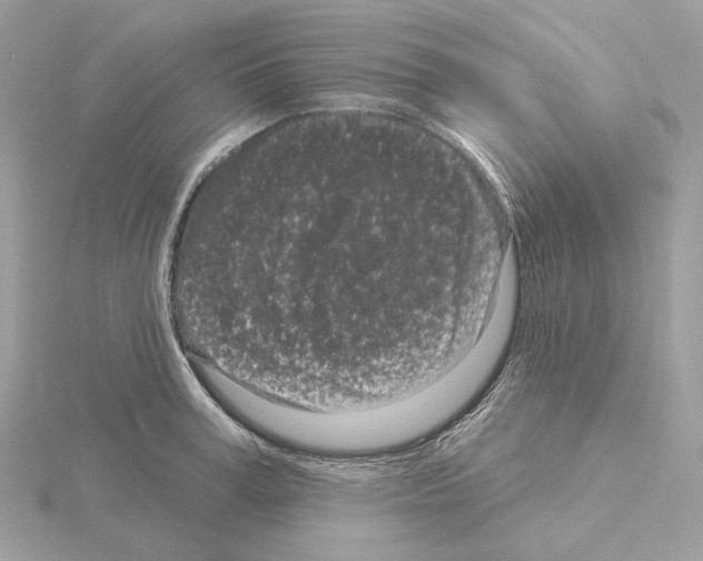 X0000115050995200912071126