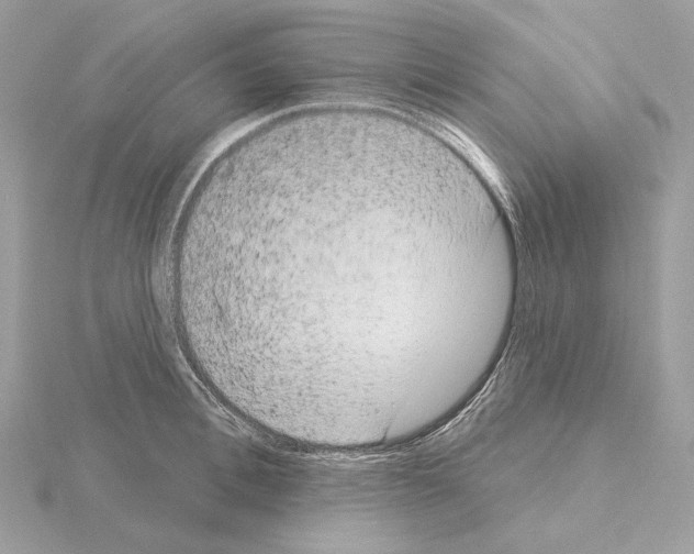 X0000115050996200912071126