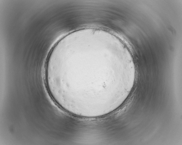 X0000115050999200912071126