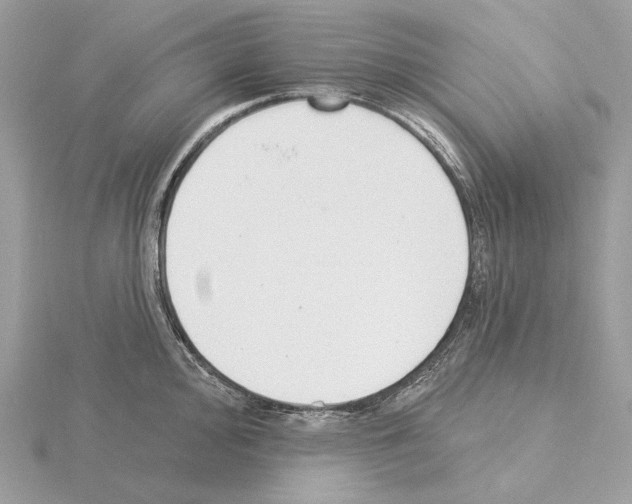 X0000115051000200912071126