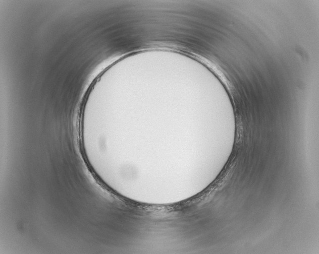 X0000115051003200912071126