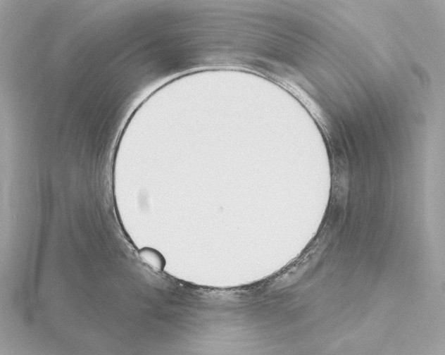 X0000115051004200912071126