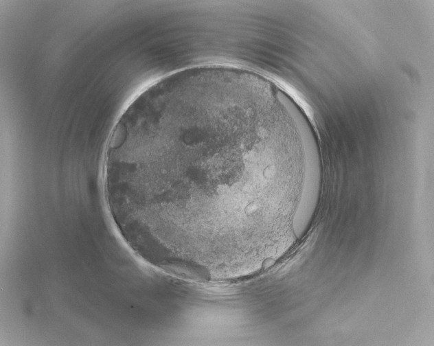 X0000115051007200912071126