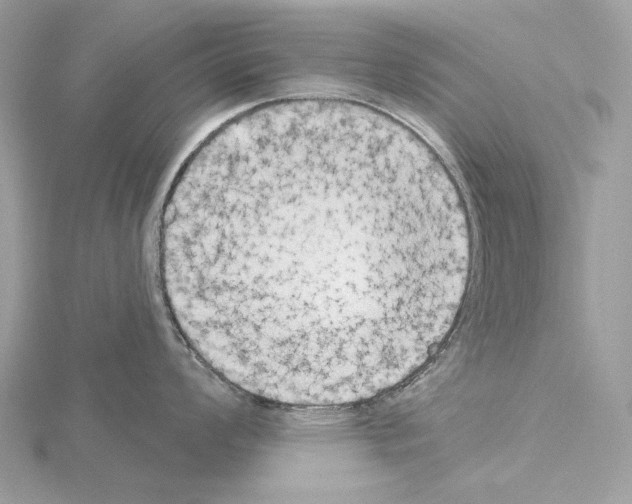 X0000115051008200912071126