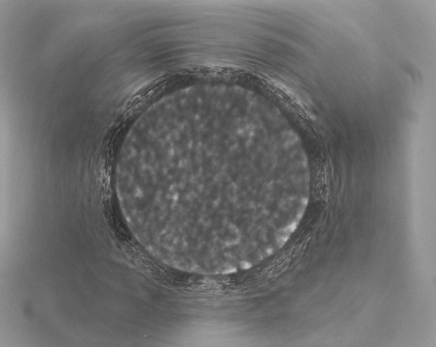 X0000115051013200912071125