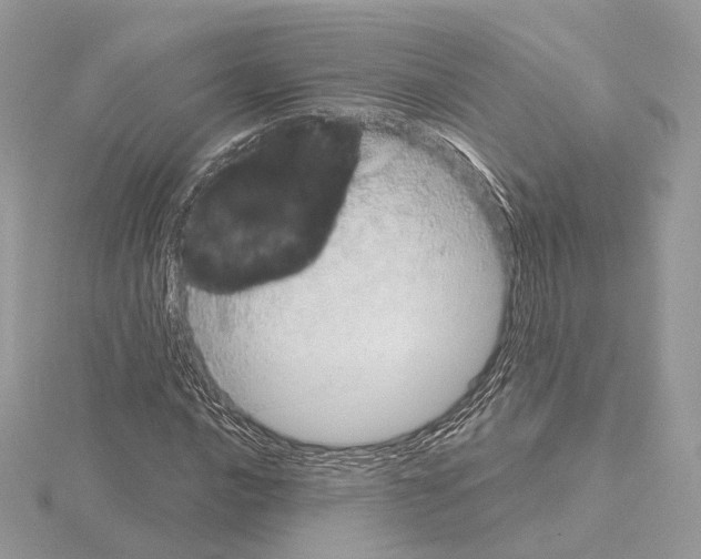 X0000115051016200912071125