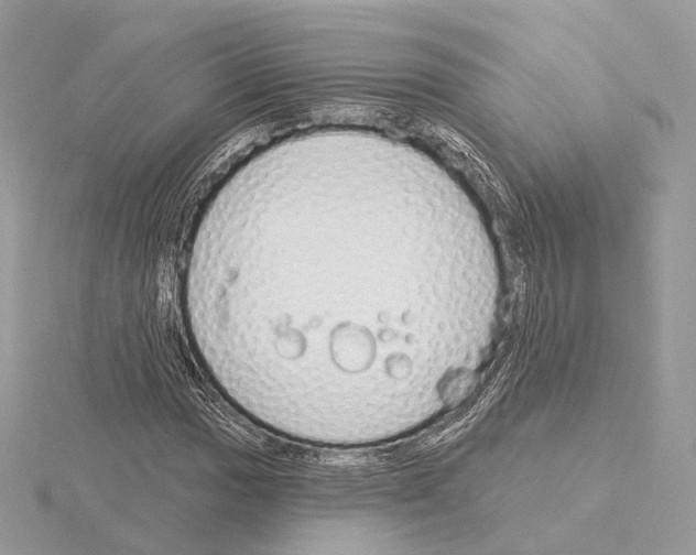 X0000115051017200912071125