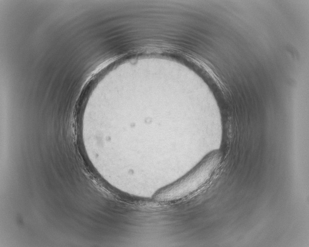 X0000115051018200912071125