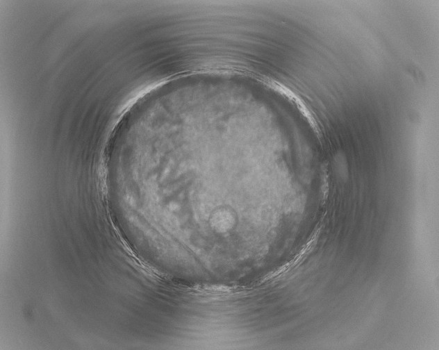 X0000115051019200912071125