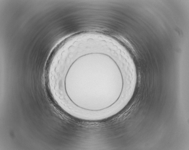 X0000115051020200912071125