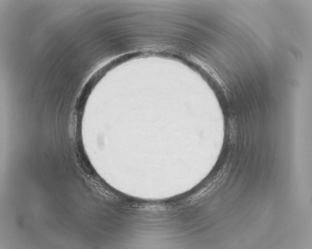 X0000115051021200912071125