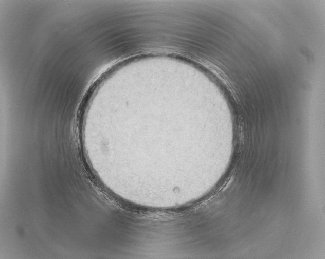 X0000115051022200912071125