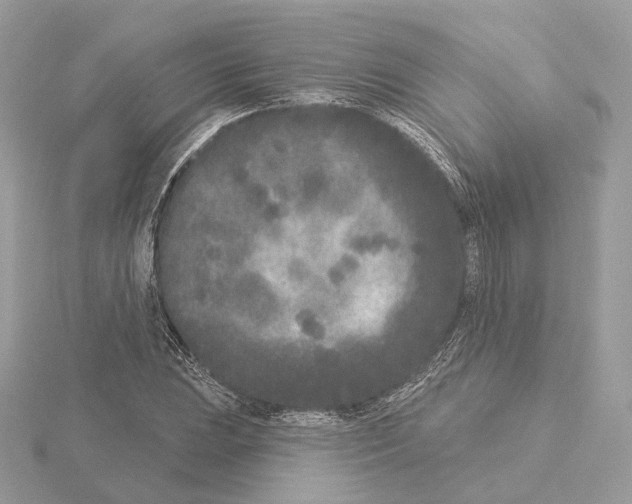 X0000115051023200912071125