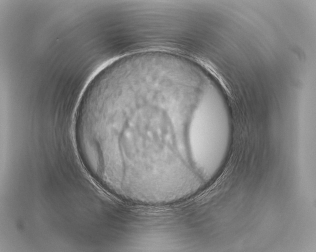 X0000115051024200912071126