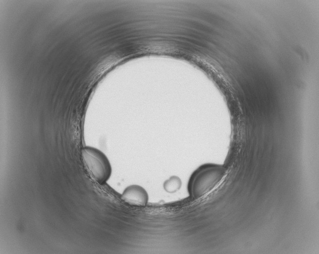 X0000115051025200912071126