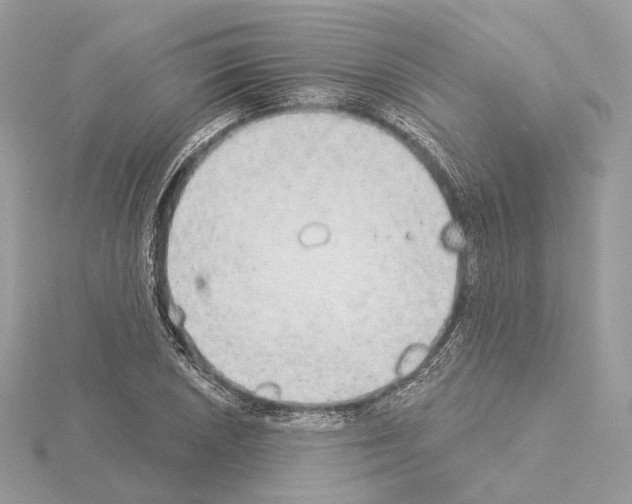 X0000115051026200912071126