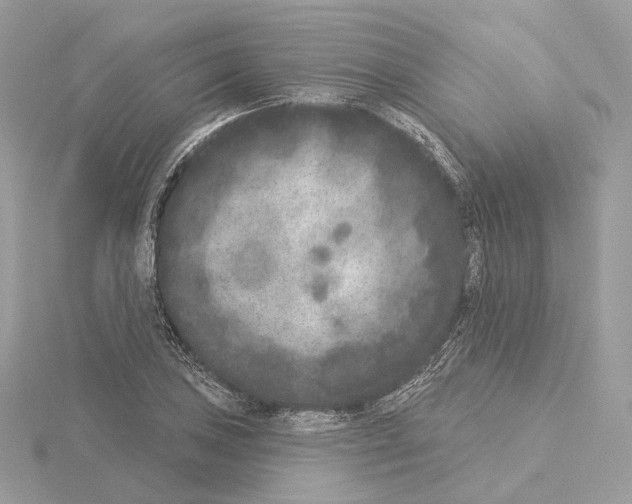 X0000115051027200912071126