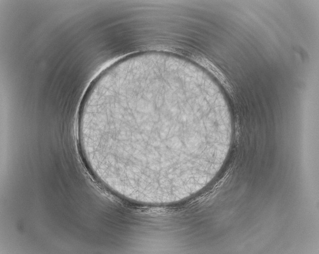 X0000115051028200912071126